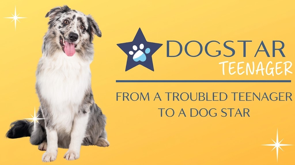 Dogstar Teenager course cover