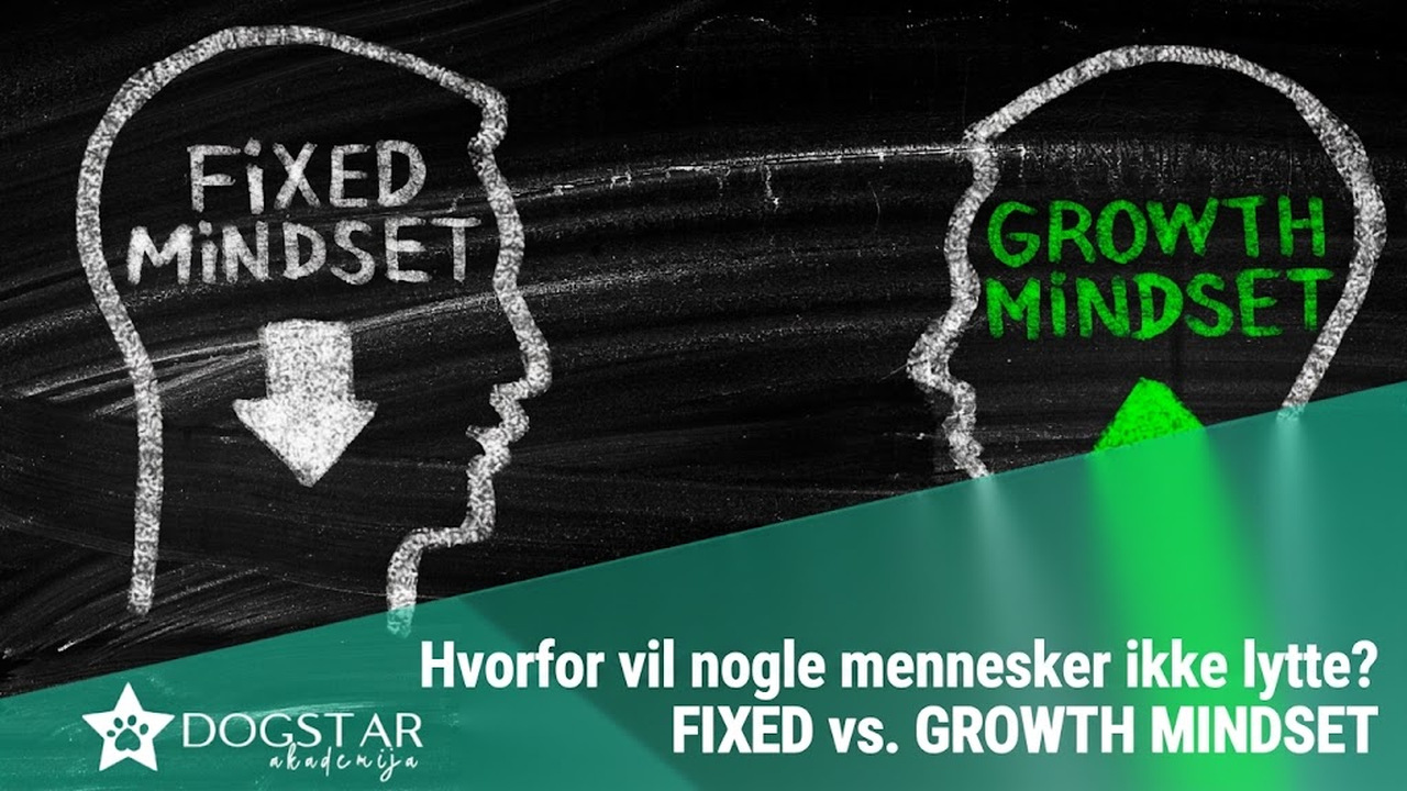 Hvorfor vil nogle mennesker ikke lytte? Fastlåst eller udviklingsorienteret tankegang