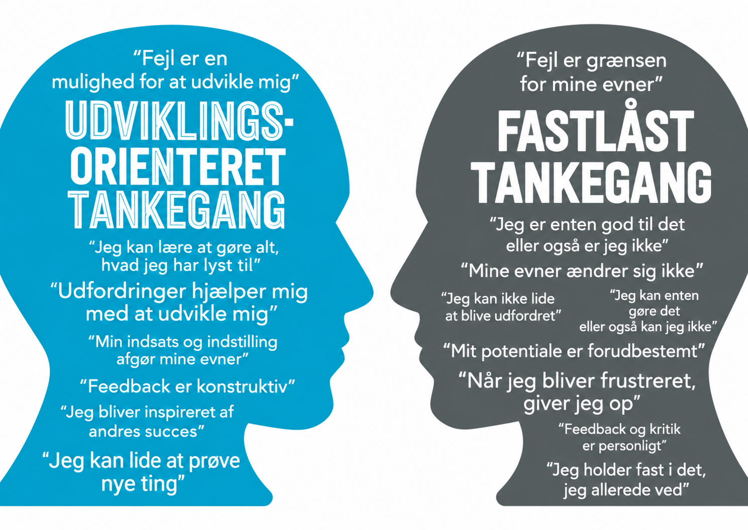 Fastlåst og udviklingsorienteret tankegang