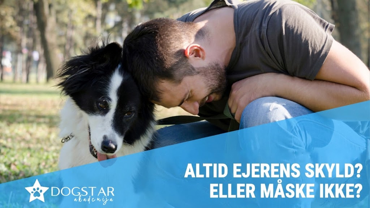 Det er altid ejerens skyld! Eller er det?